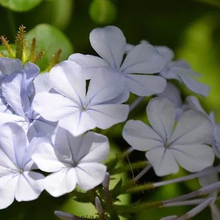 Apartamento Panorama Notos