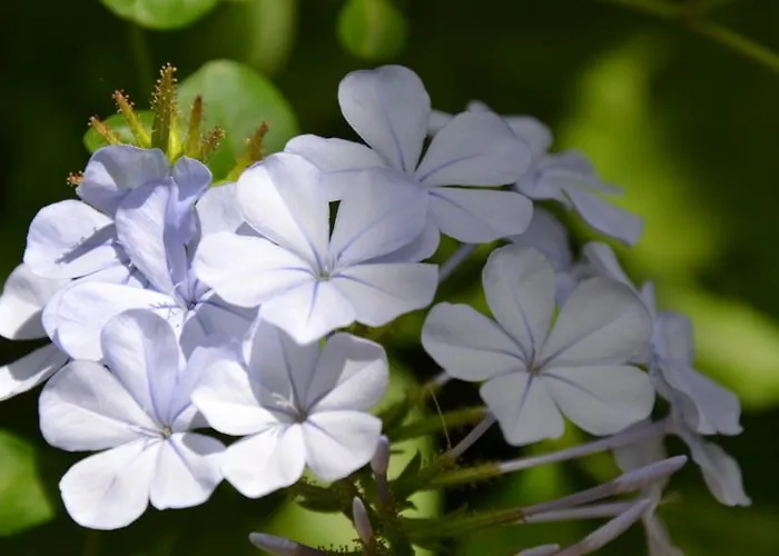 شقة Panorama Notos